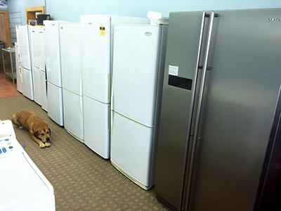 Second Hand Fridges in the Appliance Services Shop in Christchurch